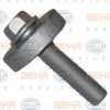 BEHR HELLA SERVICE 9NS 376 818-761 Pulley Bolt